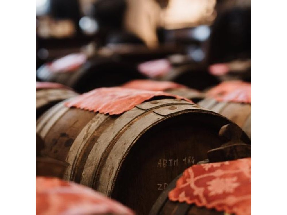 Visit and Tasting of Traditional Balsamic Vinegar of Modena