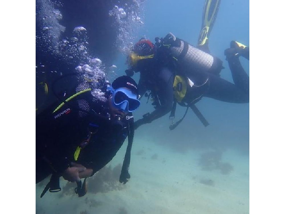 Try Dive Marine Reserve, Arrábida, Setúbal, Sesimbra, near Lisbon