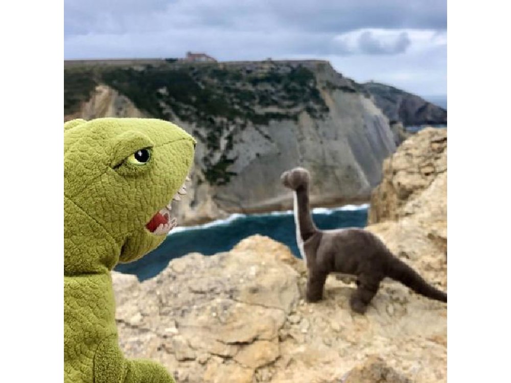 Private Walk to Dinosaur Footprints Near Lisbon