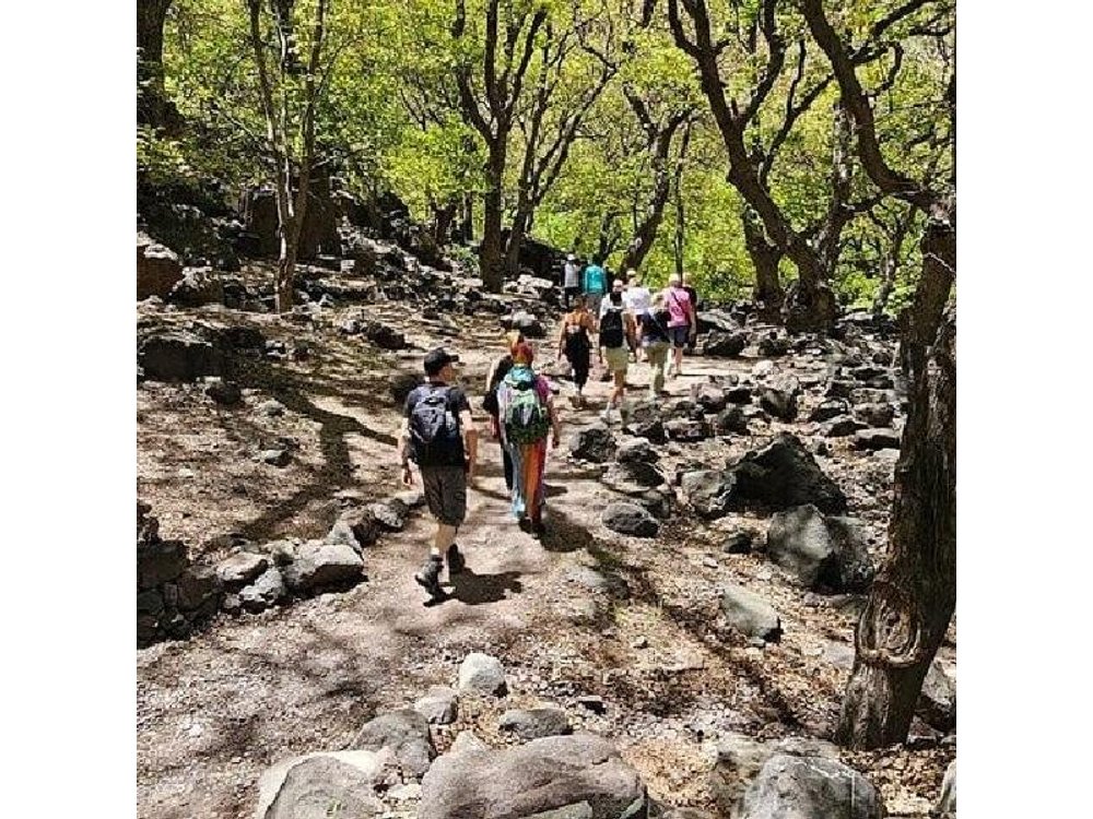 Marrakech: High Atlas, Imlil Valley and Waterfalls Tour