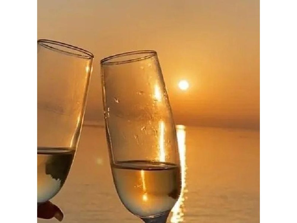 Miami Sunset Champagne Cruise with Skyline Views