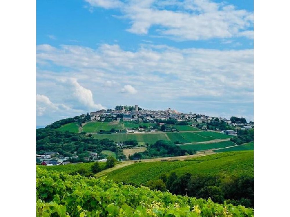 Paris Wine Day Tours exclusive wine tour in the Sancerre area