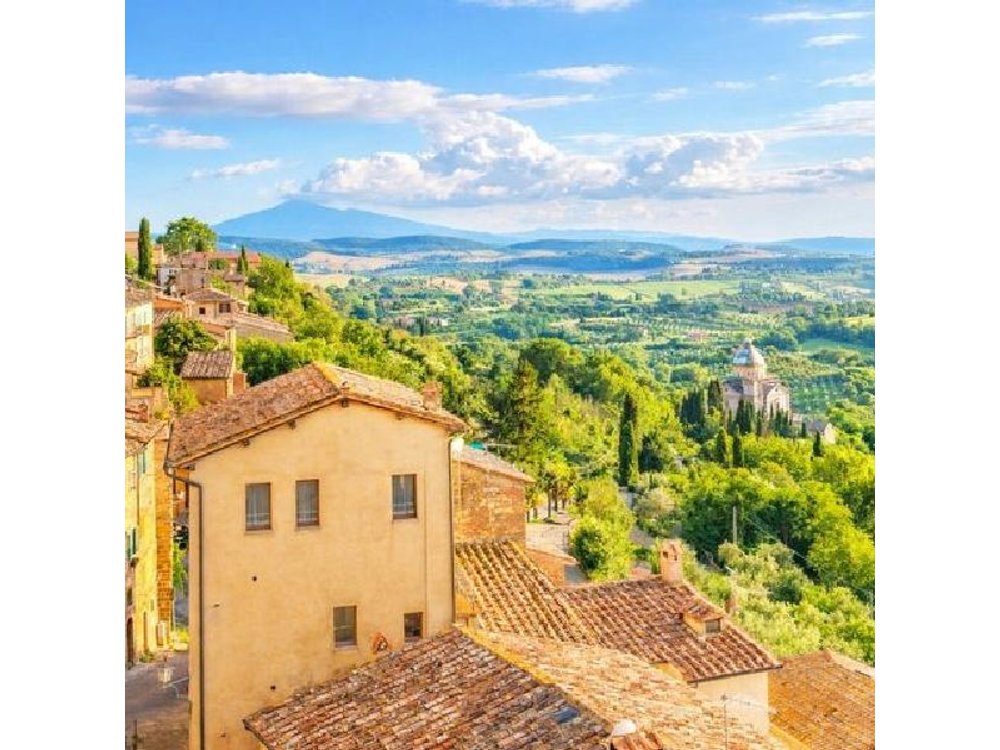 Val d’Orcia Wine Tour with Lunch & Brunello from Florence