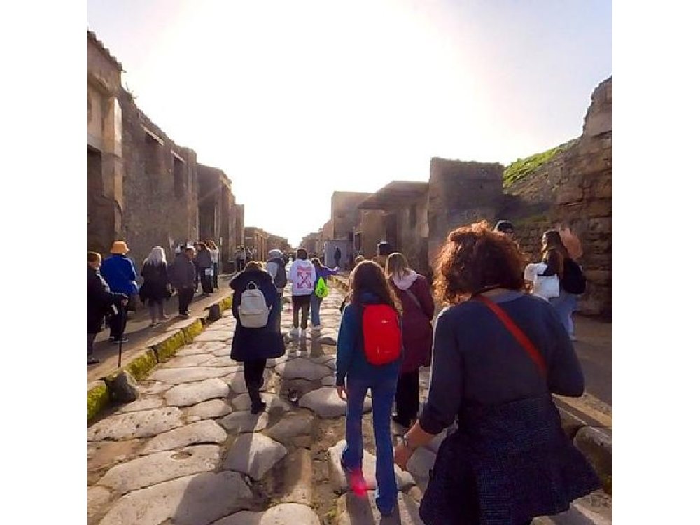 Pompeii and Vesuvius Skip the line Trip from Sorrento or Naples