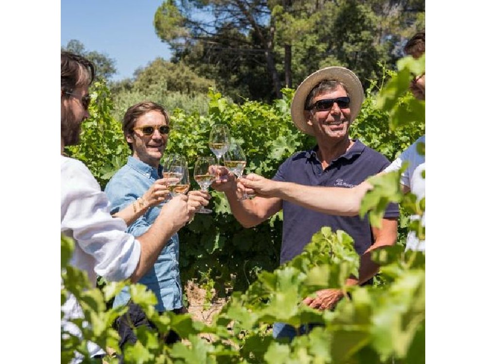 Rosé & Côtes de Provence Wine tour from Marseille