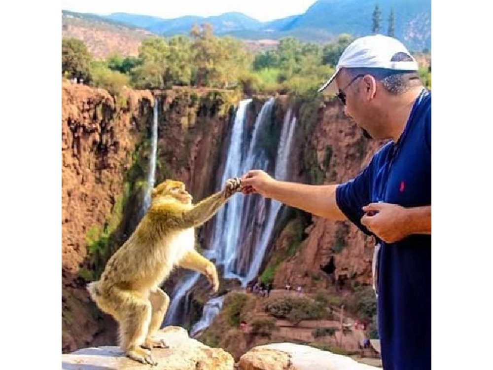 Ouzoud Waterfalls Day Trip from Marrakech: Boat Ride & Monkeys
