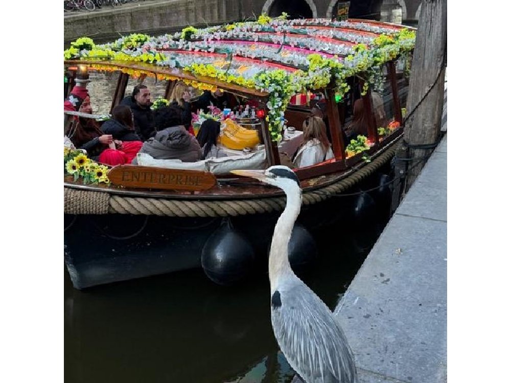Amsterdam Boat tour with Unlimited Drinks available at checkin