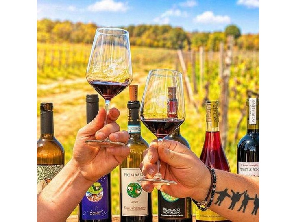 San Gimignano, Chianti, and Montalcino Day Trip from Siena