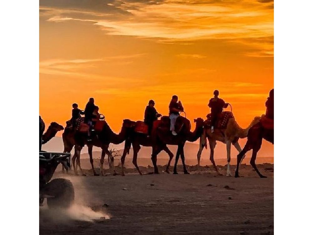Desert Agafay Marrakech Sunset Camel Ride, Dinner Sw Hotel Pickup