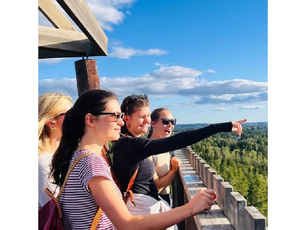 Oslo: Private Panoramic Fjord Hike With Local Guide and Dog