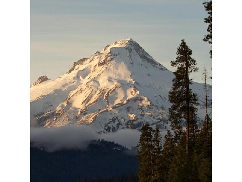 Columbia River Gorge Waterfalls & Mt Hood Tour from Portland, OR