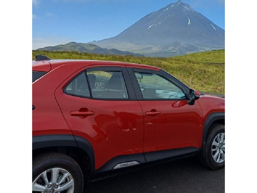 Pico Island: Your Private Half-Day Guided Experience