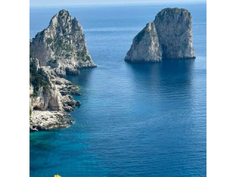 From Sorrento/Nerano: Capri Shared Tour - without pick up