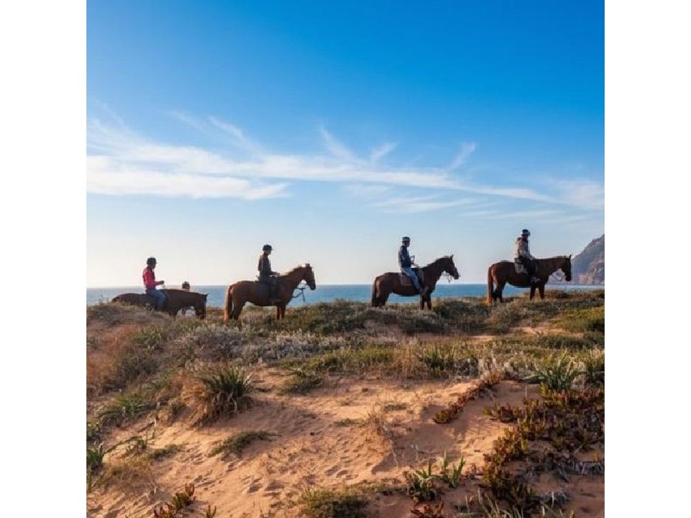 Alghero: horseback ride in Porto Ferro and Lake Baratz