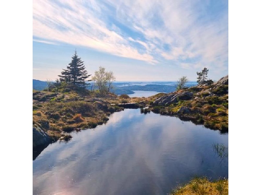 On Top of Bergen - Private Hike