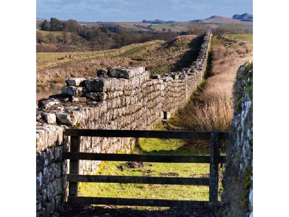Hadrian's Wall & Northumberland Day Tour