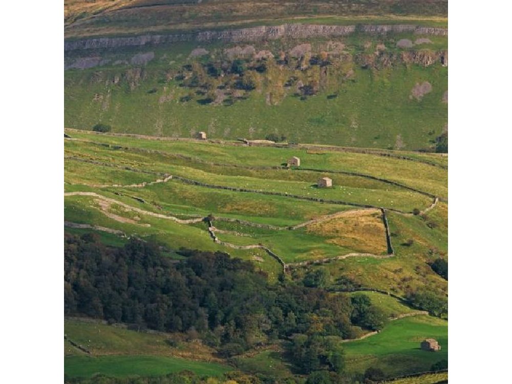 Yorkshire Dales Tour from York