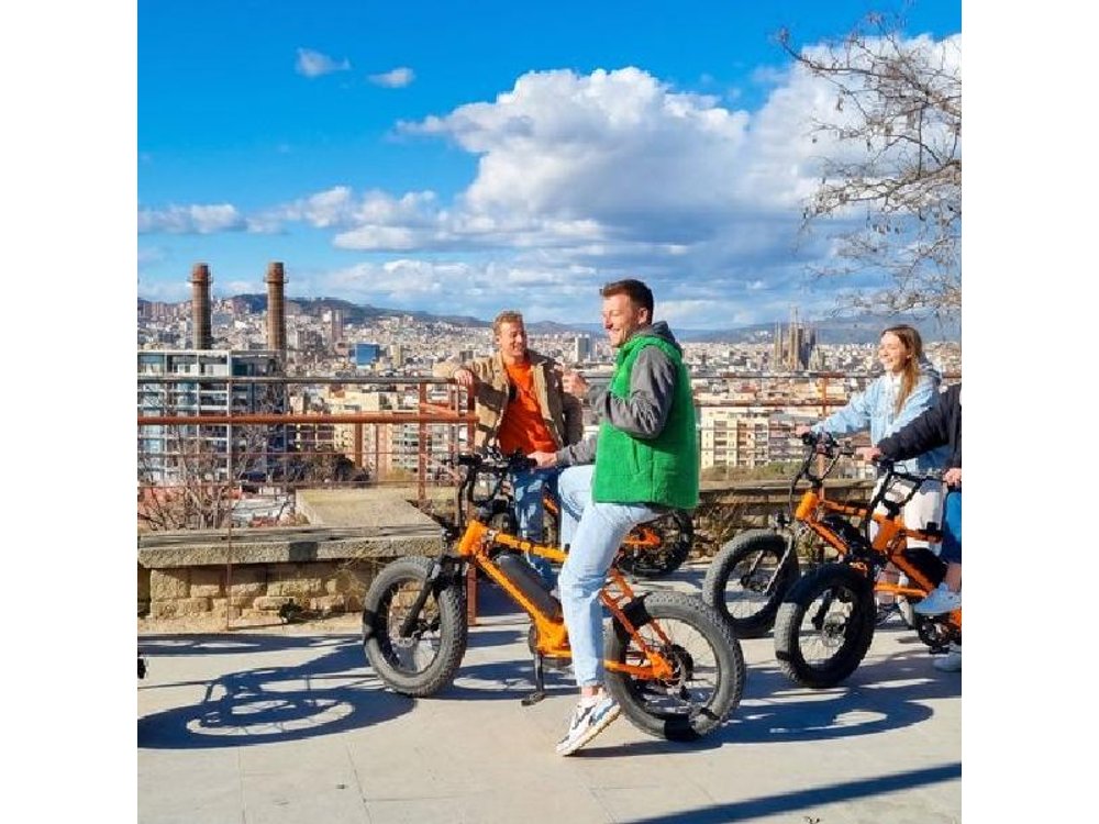 Barcelona Montjuïc E-Bike Tour: Castle, Views & Highlights