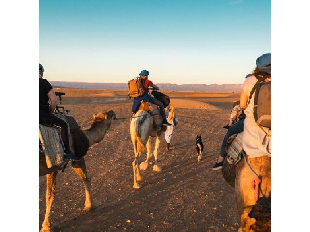 From Marrakech: Zagora 2-Day Desert Safari with Camel, and Camp