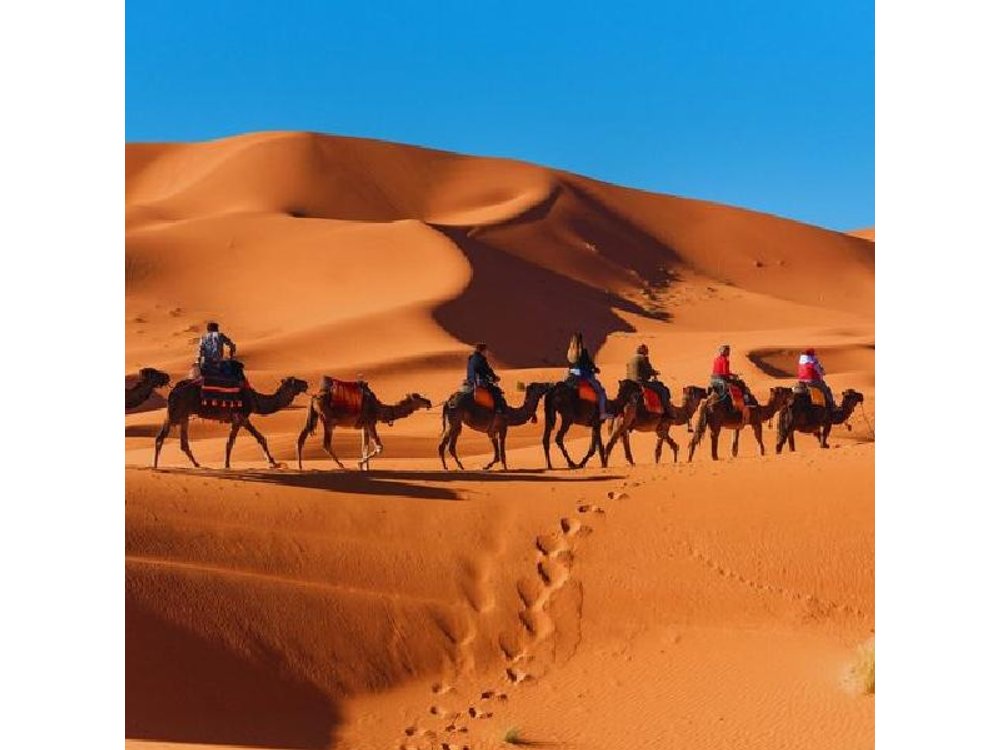 From Marrakech: 3-Day Desert Tour to Merzouga with Food and Camel