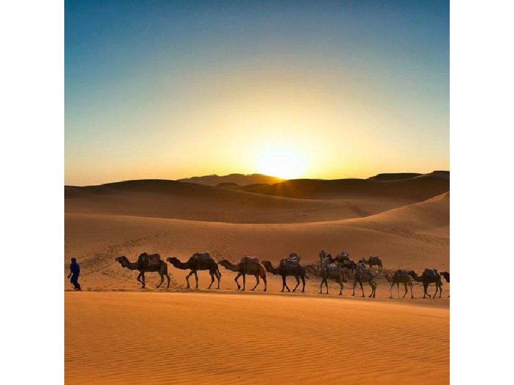 10-Day Morocco Private Tour from Casablanca via Chefchaouen Fes