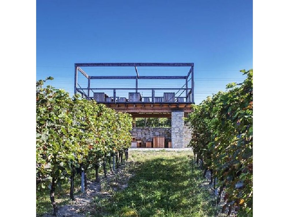 From Prague: Private Bohemian Wine Tour & Local Delicacies