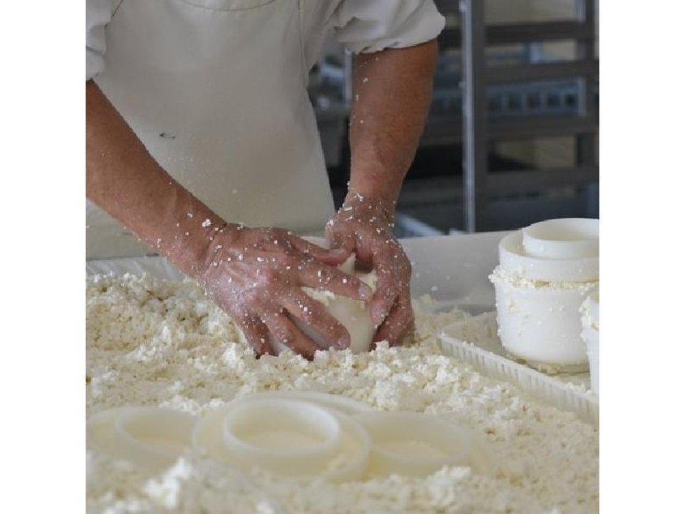 Private Lisbon Cheese Factory, Wine Tasting & Tile Painting Tour