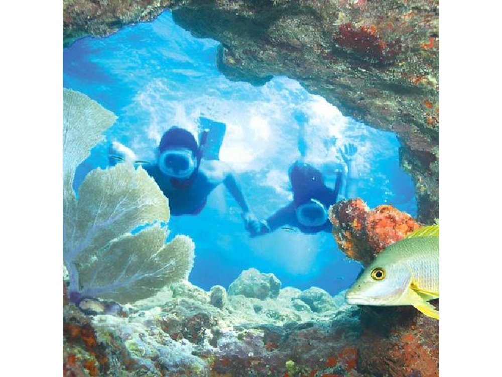 Key West Double-Dip Snorkel Tour-Two Stops, Twice the Fun!