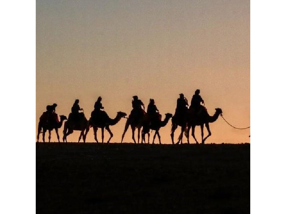 Quad Bike and Camel Ride in Marrakech Palm Groves with Sunset