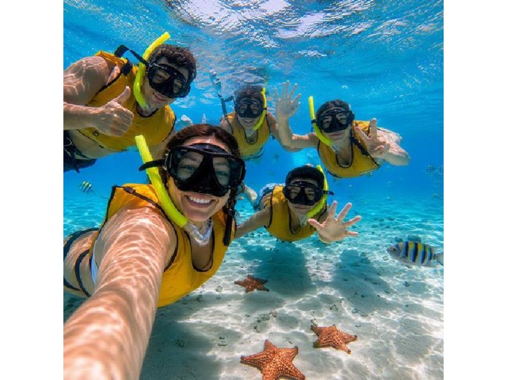 Cozumel Snorkeling Tour: Palancar, Columbia and El Cielo Reefs