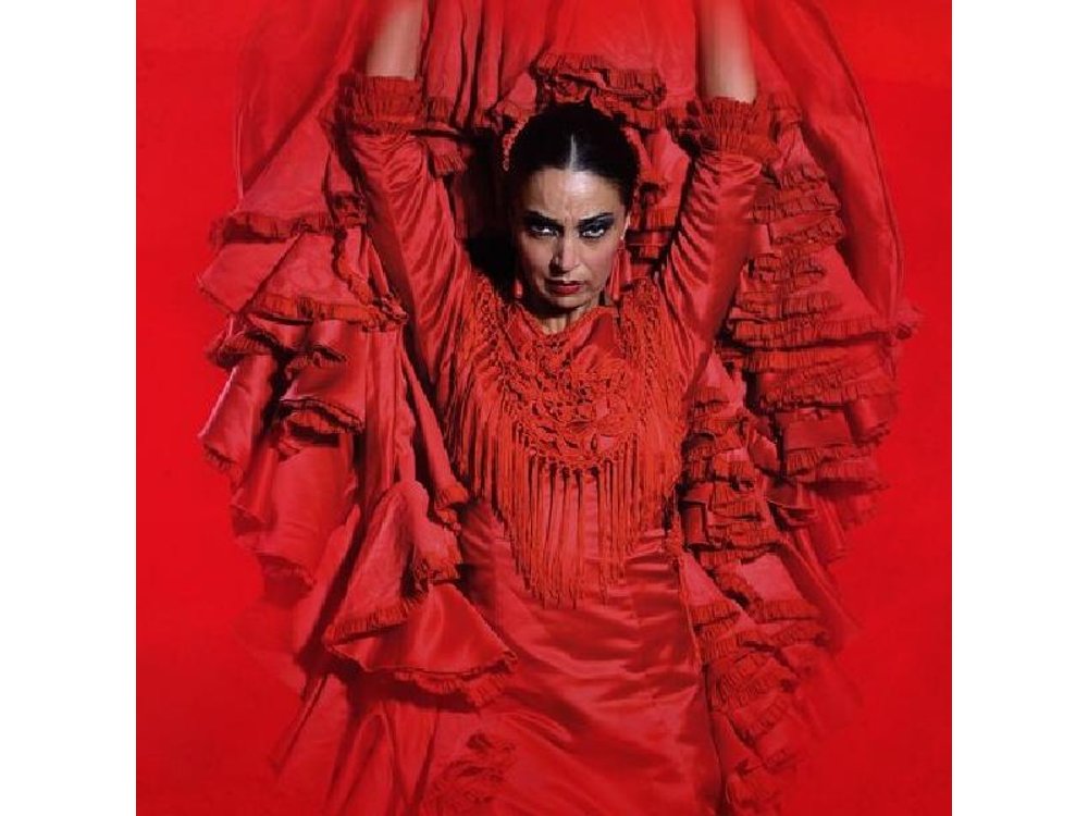 The Premium Experience at Teatro Flamenco Málaga