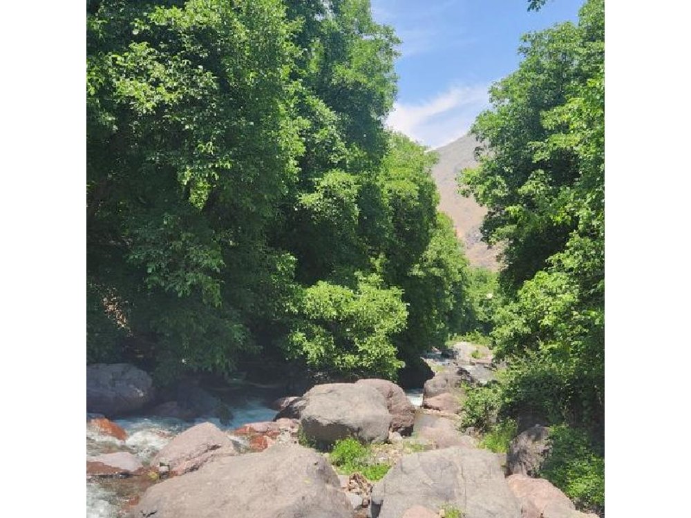 From Marrakech:Atlas Mountains half Day in nature place