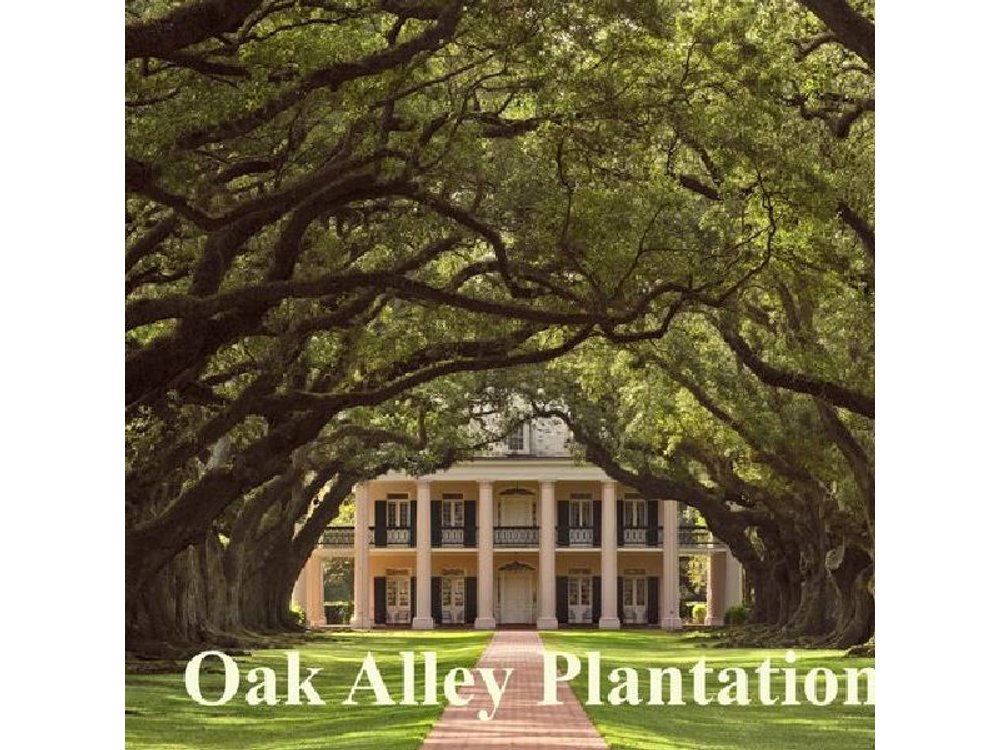 Oak Alley or St. Joseph Plantation with Shuttle From New Orleans