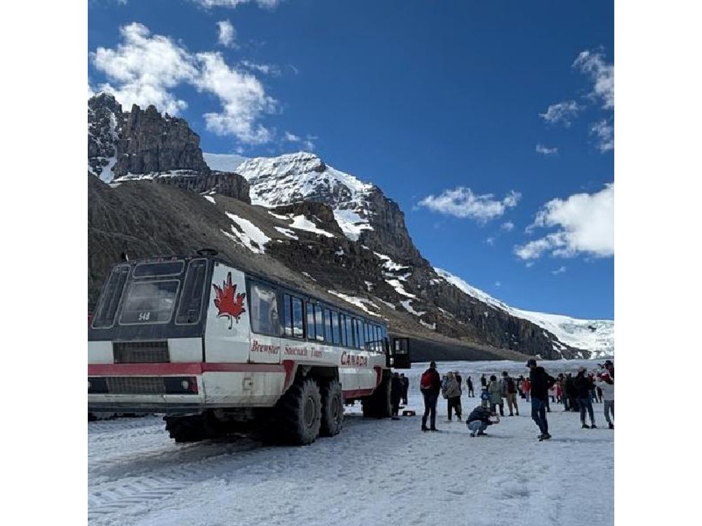 Along Icefields Parkway: Peyto Lake, Bow Lake & Columbia Icefield