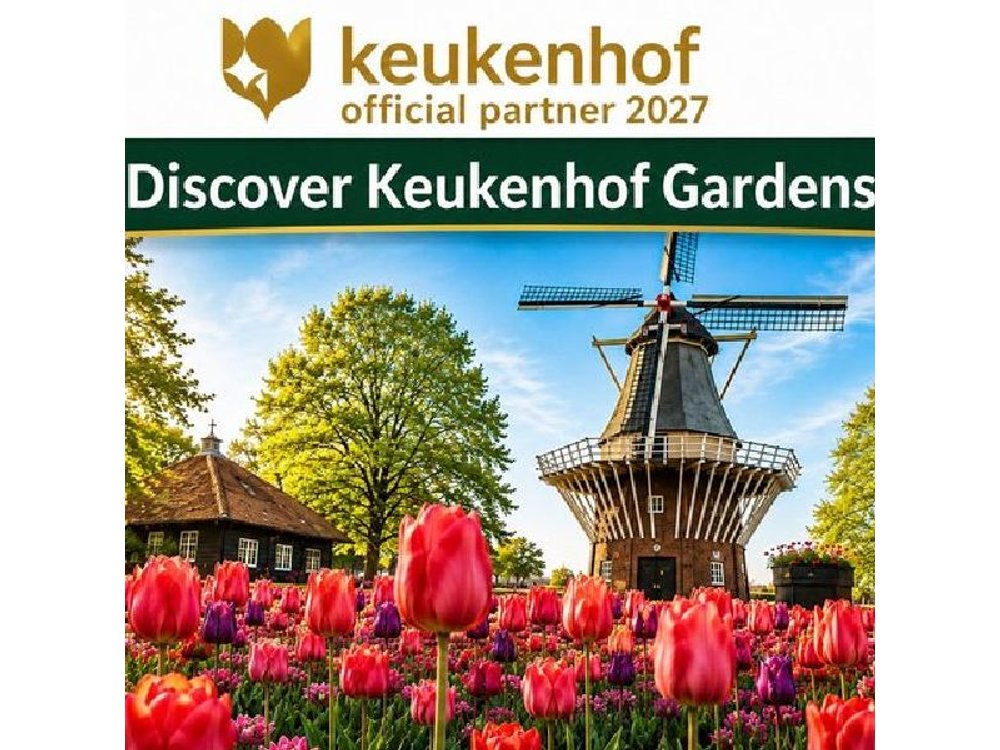Amsterdam Airport: Tour to Keukenhof incl. Ticket & Flex Return