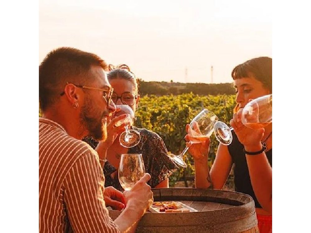 Winery Tour in Menorca with Wine Tasting
