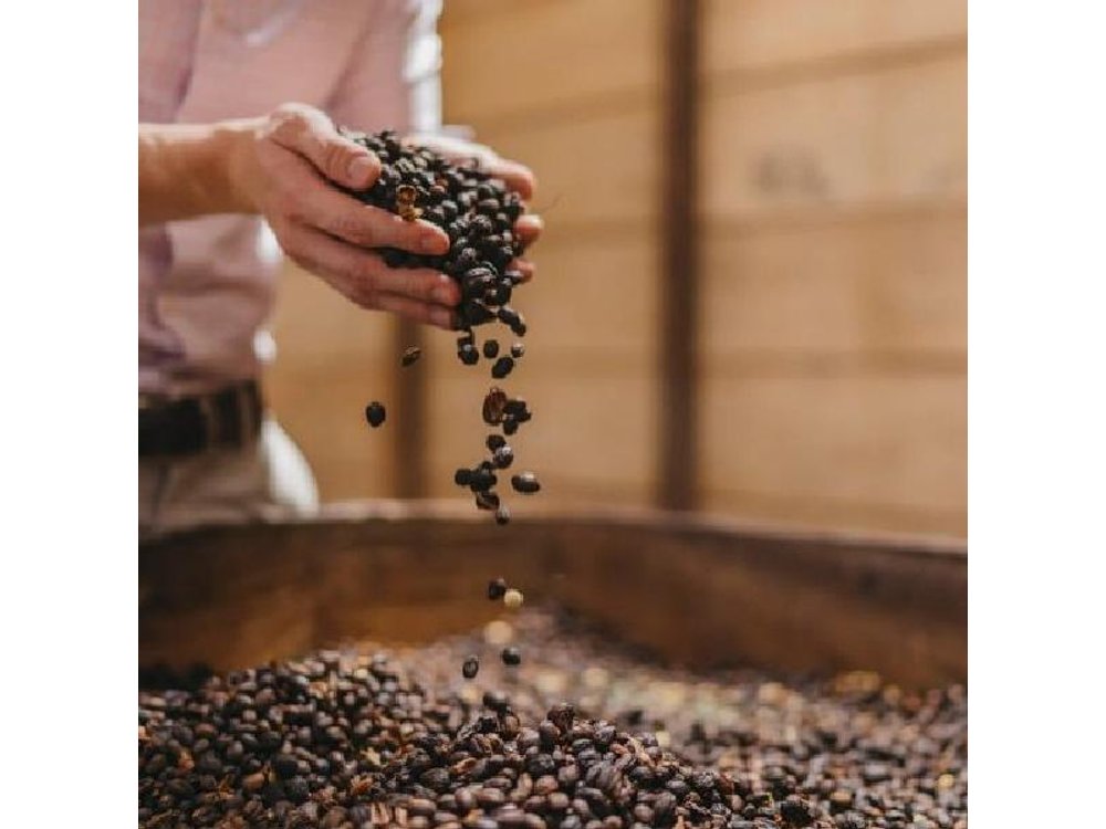 Half Day Tour: Coffee Tour + Poás Volcano from San Jose