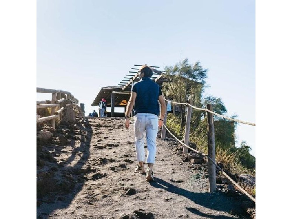 Vesuvius & Herculaneum Small Group Tour from Naples