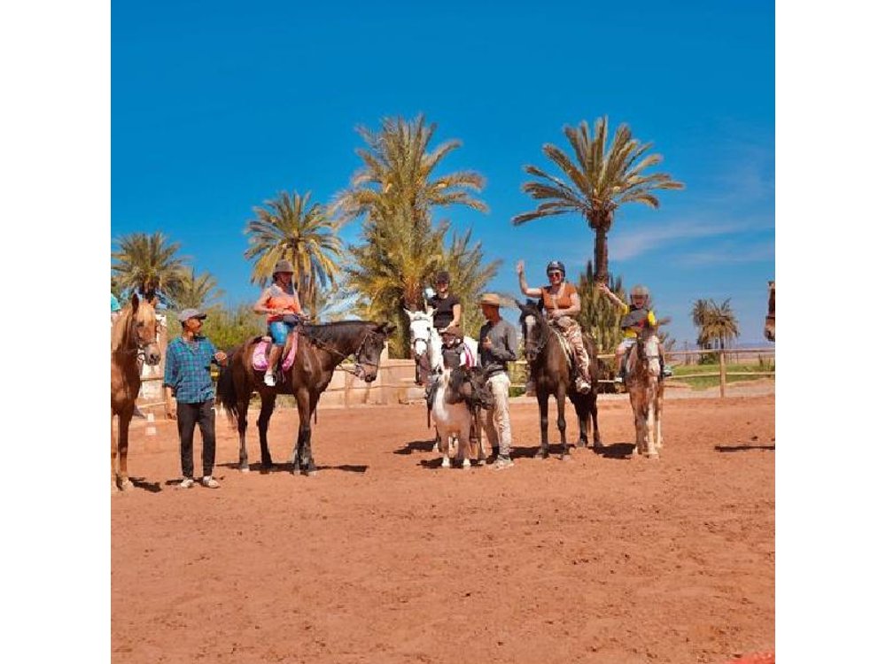 Sunset Horseback Ride in Marrakech’s Palmeraie pickup & drop-off