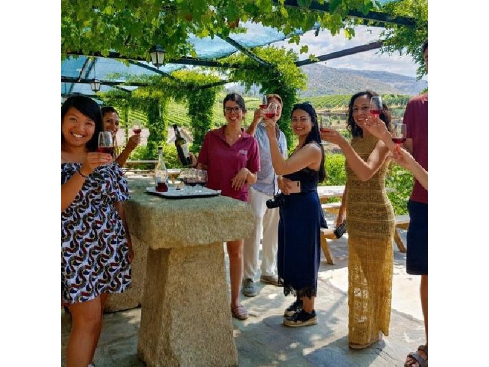 From Porto: Small-Group Douro Valley Tour with 4 Wineries