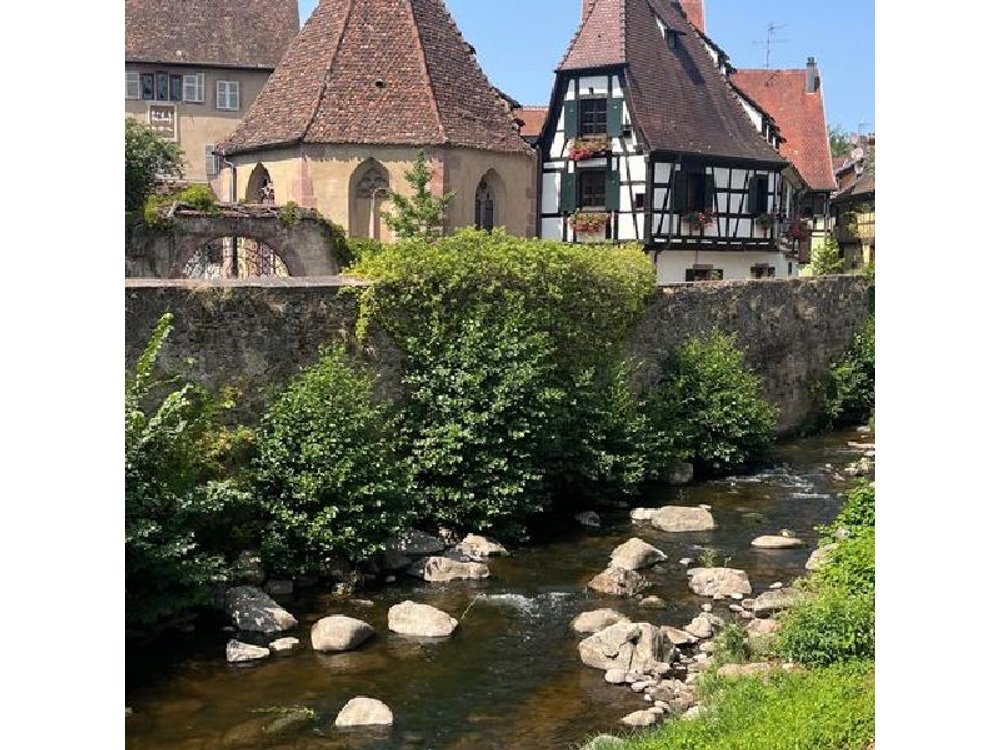 Alsace's Villages, Colmar and Castle Private Car Tour for 1-6