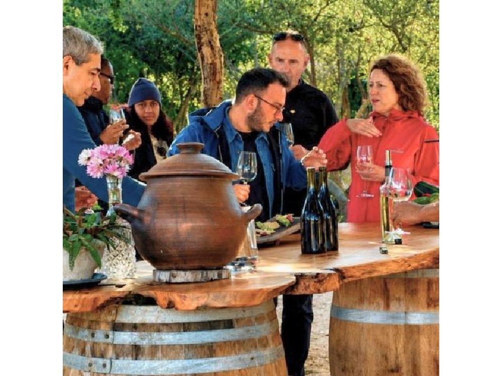 4 Exclusive & boutique wineries in Casablanca - Tanino Restaurant