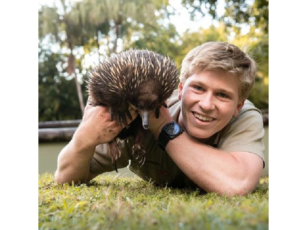 Australia Zoo Private Group Tour from Brisbane