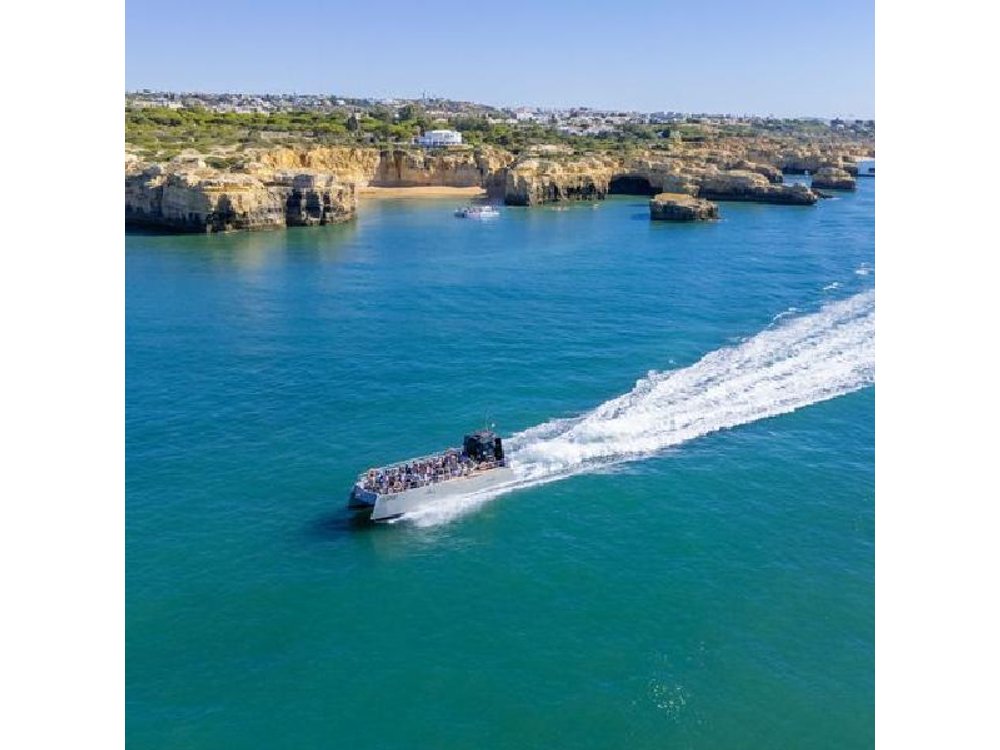 Albufeira: Dolphins & Benagil Caves with Marine Biologist