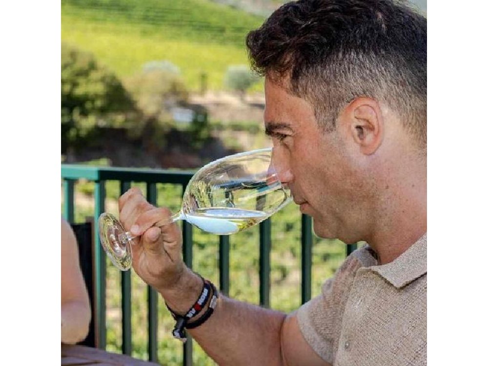 Wine Tasting at Quinta dos Novais in Douro Valley