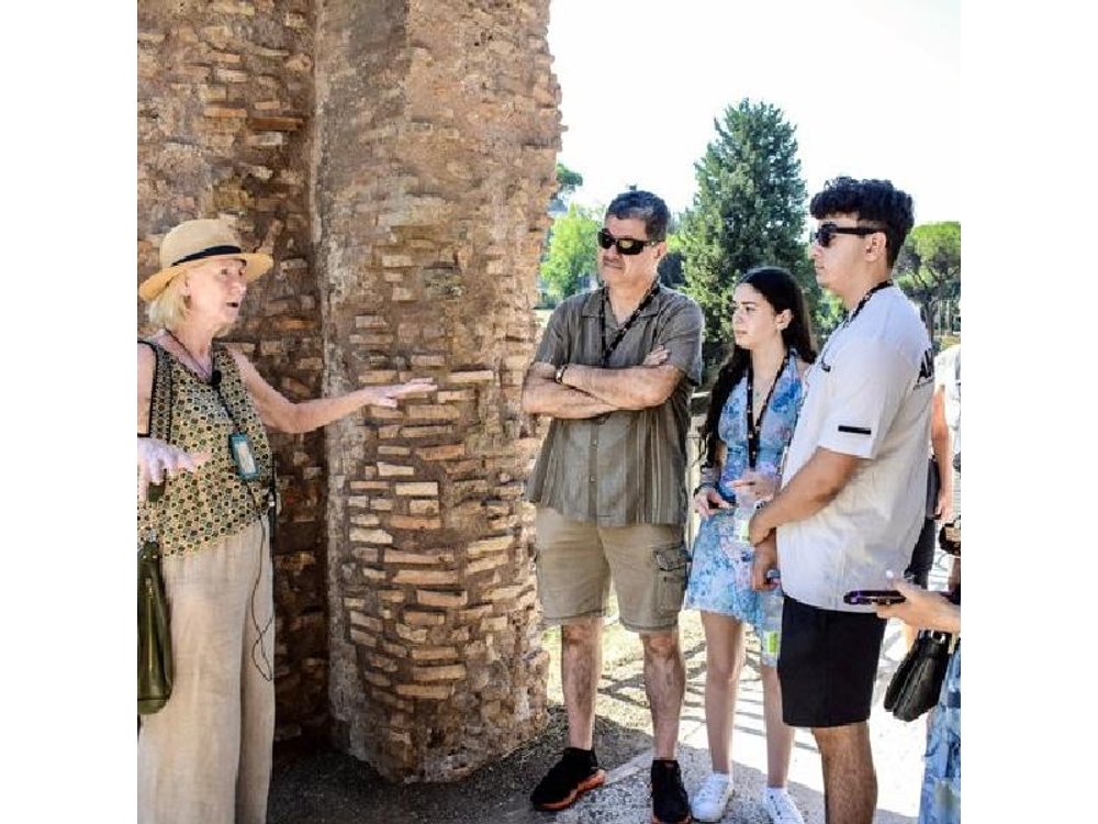 Rome: Guided Tour of Colosseum, Palatine Hill and Roman Forum