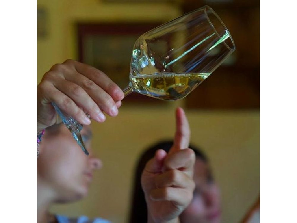 Rome Countryside Vineyards and Wine Tasting - Private Tour