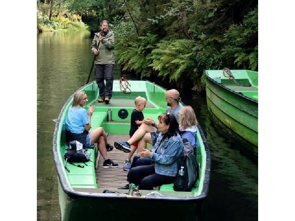 From Dresden: Bastei Bridge, Gorge Boat & Narnia Rocks Tour