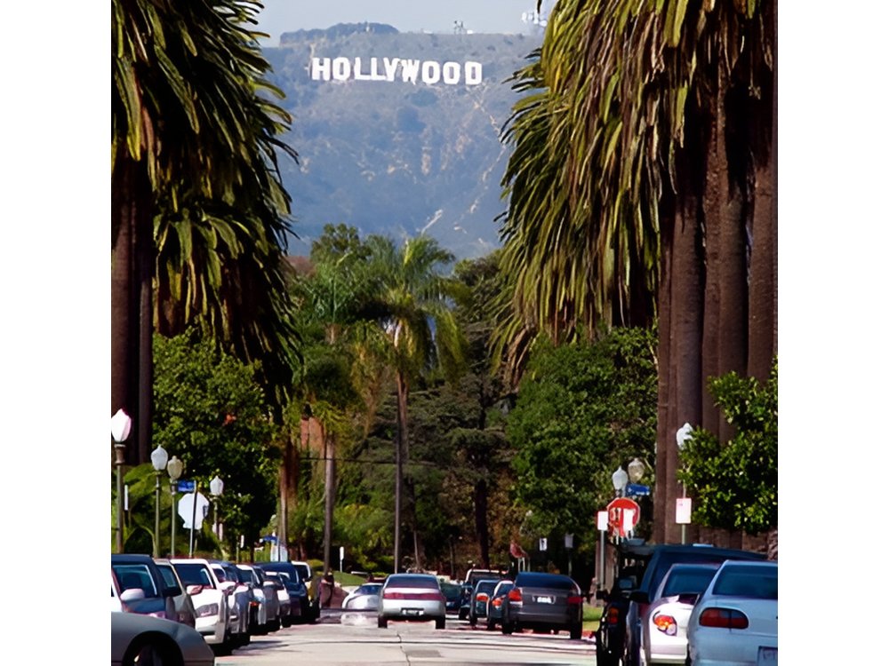 Privately Customized Tour of Los Angeles