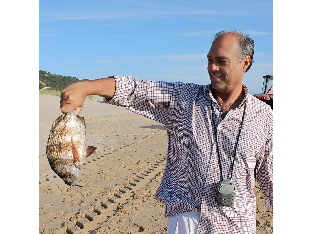 A Day of Tastes, Views & Heritage, tour from Lisbon